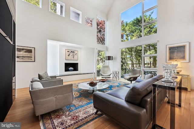 living room with wood-type flooring and a high ceiling