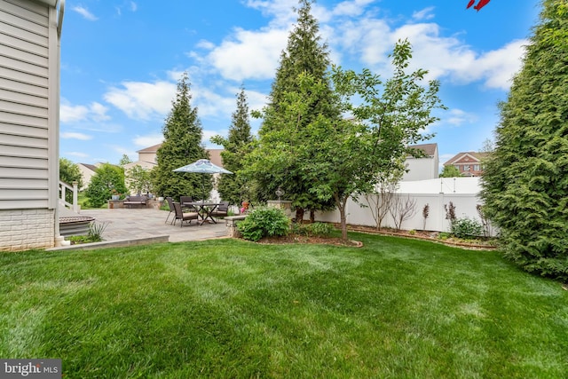 view of yard with a patio area