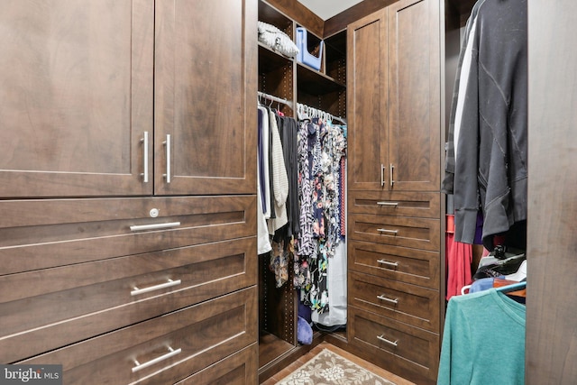 207 Reid Way, West Chester, PA 19382 - view of walk in closet