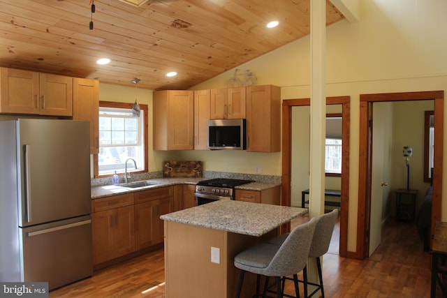 659 Settlers Valley Way, Lost River, WV 26810 - kitchen featuring a kitchen bar, a sink, wooden ceiling, lofted ceiling, and stainless steel appliances