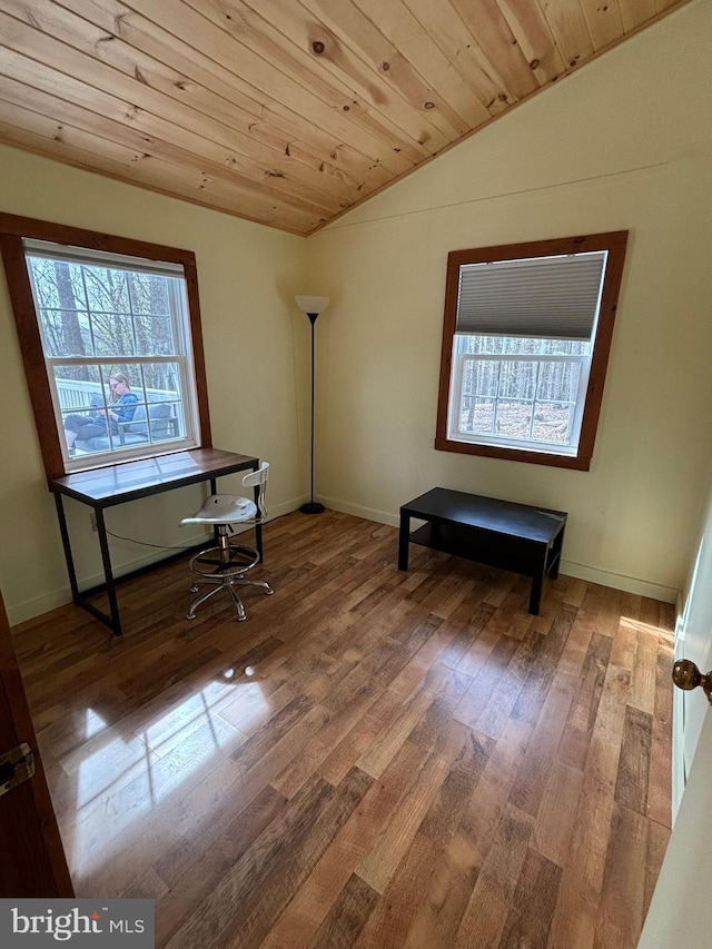 659 Settlers Valley Way, Lost River, WV 26810 - interior space with wooden ceiling, baseboards, vaulted ceiling, and wood finished floors