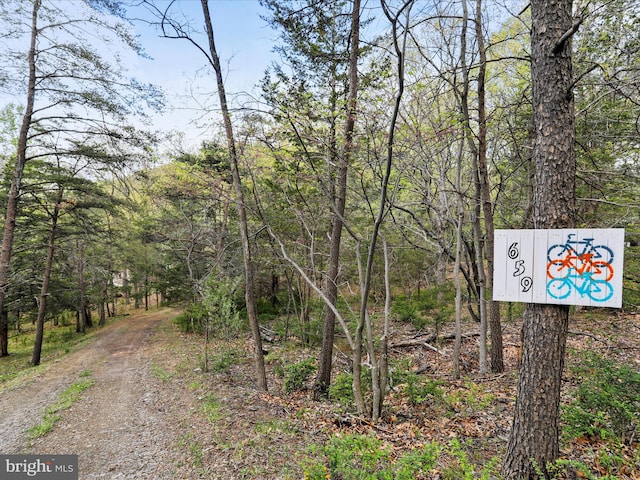 659 Settlers Valley Way, Lost River, WV 26810 - view of road with a forest view