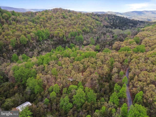 659 Settlers Valley Way, Lost River, WV 26810 - drone / aerial view with a view of trees and a mountain view