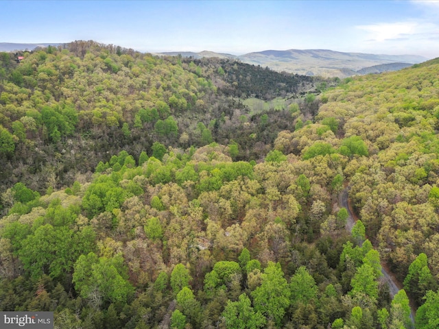 659 Settlers Valley Way, Lost River, WV 26810 - mountain view with a wooded view