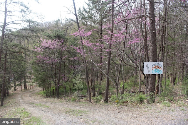 659 Settlers Valley Way, Lost River, WV 26810 - view of road featuring a view of trees