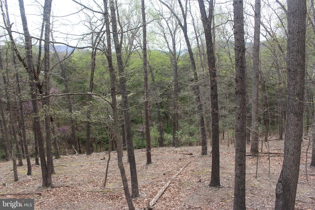 659 Settlers Valley Way, Lost River, WV 26810 - view of landscape featuring a view of trees