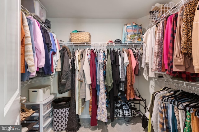 view of walk in closet