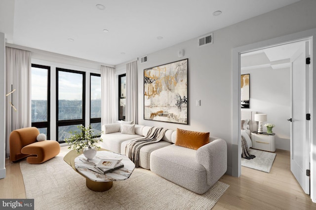 living area featuring plenty of natural light and light wood finished floors