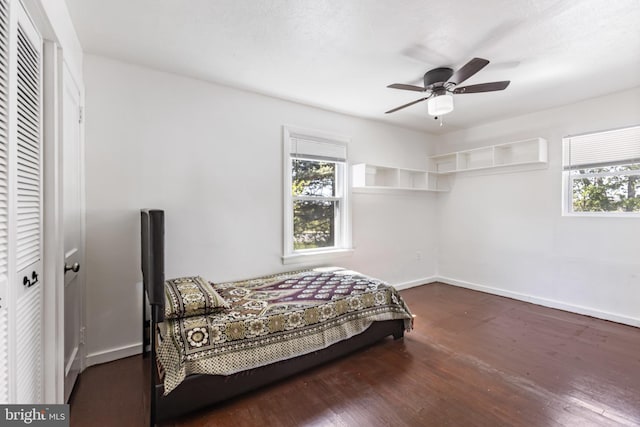 bedroom featuring baseboards, multiple windows, wood finished floors, and a closet