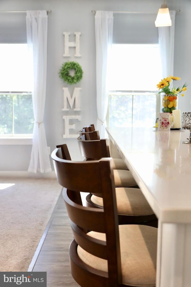 dining space featuring wood finished floors
