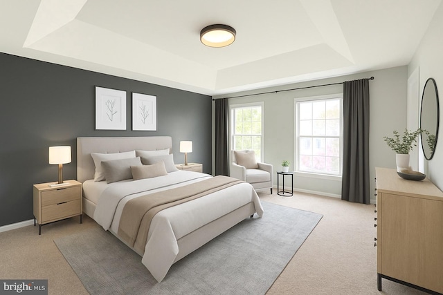 1 Donegal, Newark, DE 19702 - bedroom with light carpet, a raised ceiling, and baseboards