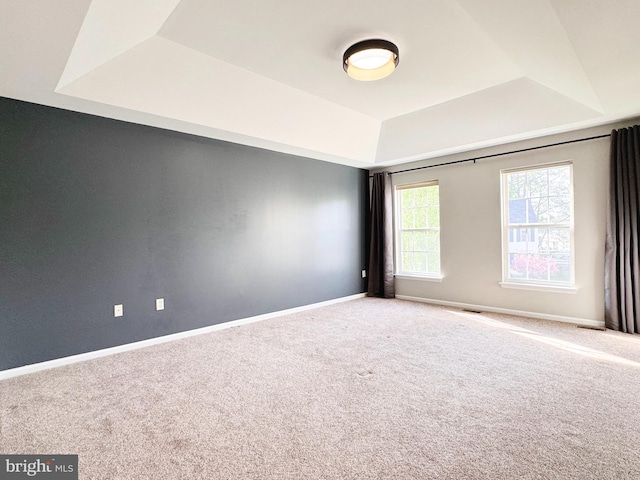 1 Donegal, Newark, DE 19702 - carpeted empty room featuring baseboards and a tray ceiling