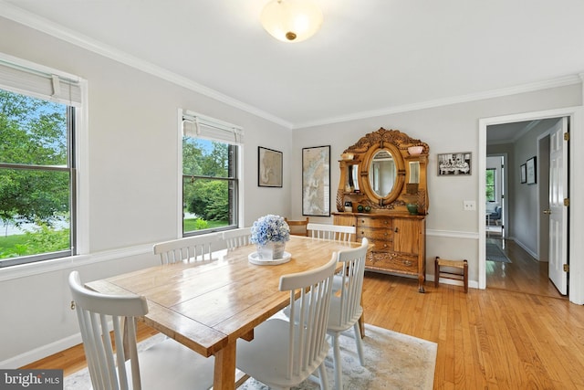 206 Barroll Dr, Chestertown, MD 21620 - dining area with ornamental molding and light wood-style floors
