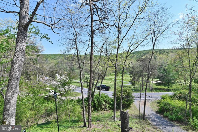 property view of water featuring a view of trees