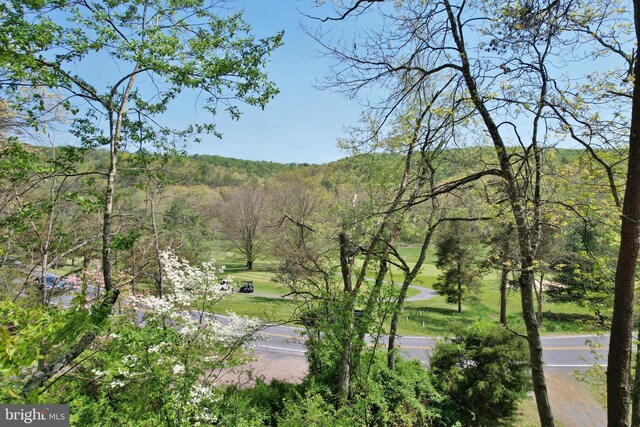 mountain view featuring a view of trees