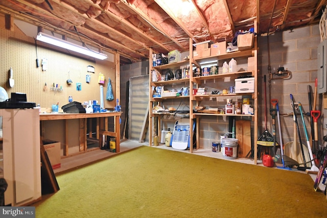 storage area with electric panel