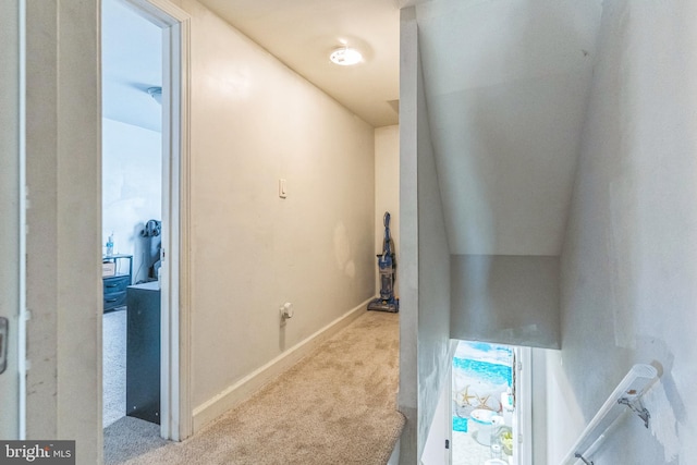 3526 Welsh Rd, Philadelphia, PA 19136 - hallway featuring carpet floors and baseboards