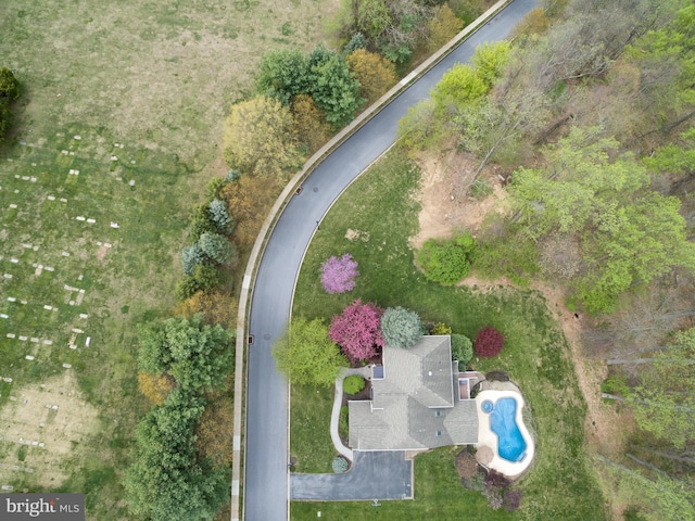 bird's eye view