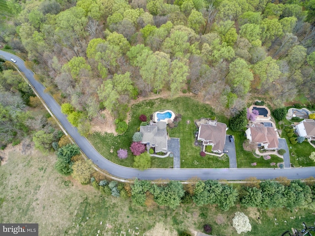 bird's eye view