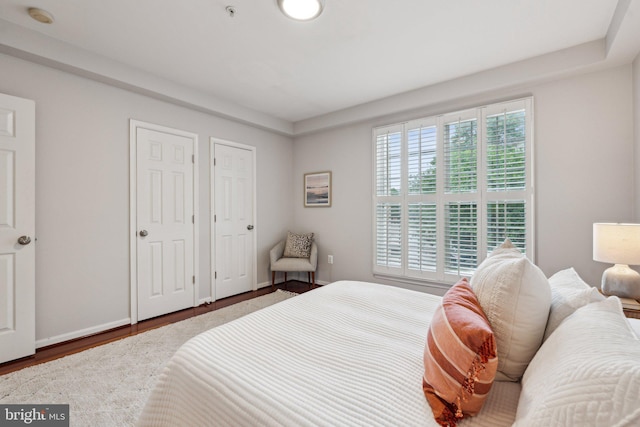 1617 Potomac Greens Dr Unit A, Alexandria, VA 22314 - bedroom featuring wood finished floors and baseboards