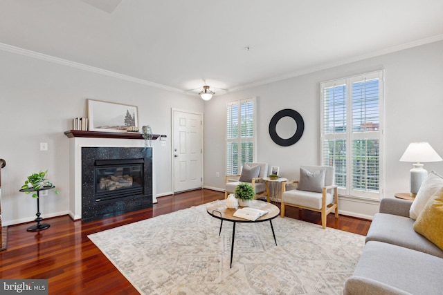1617 Potomac Greens Dr Unit A, Alexandria, VA 22314 - living area featuring crown molding, dark wood-type flooring, baseboards, and a fireplace
