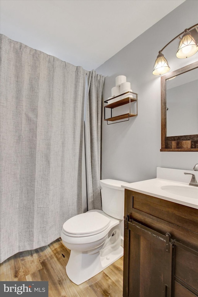bathroom with vanity, toilet, and wood finished floors