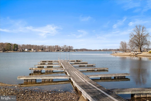 dock area featuring a water view