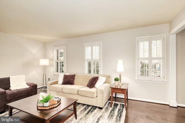 5580 Ann Peake Dr, Fairfax, VA 22032 - living room with wood finished floors and baseboards