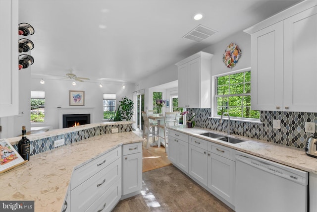 kitchen with a sink, ceiling fan, plenty of natural light, and dishwasher