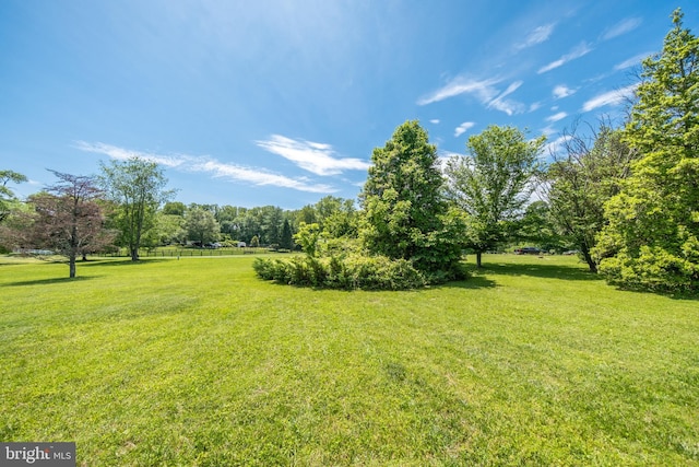 6600 Castle Ridge Rd, Clifton, VA 20124 - view of grassy yard