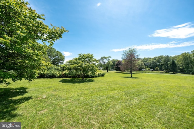 6600 Castle Ridge Rd, Clifton, VA 20124 - view of yard