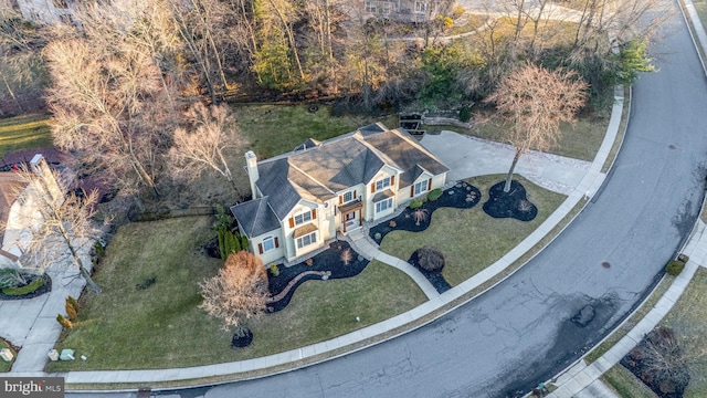 bird's eye view