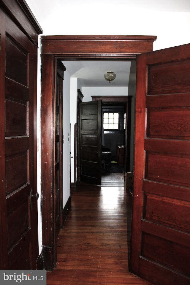 408 Prince George St, Cumberland, MD 21502 - hallway with dark wood-style floors
