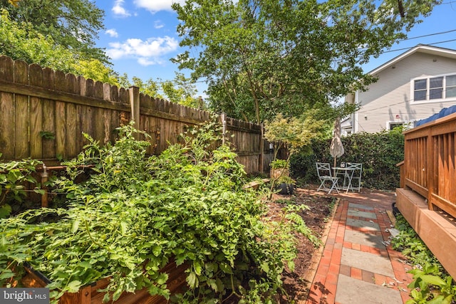 19 W Wyatt Ave, Alexandria, VA 22301 - fenced backyard featuring a patio