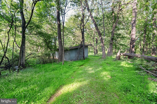 2436 Warm Springs Rd, Shenandoah Junction, WV 25442 - view of yard