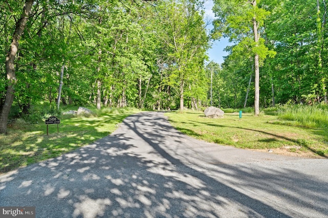 2436 Warm Springs Rd, Shenandoah Junction, WV 25442 - view of road with a forest view