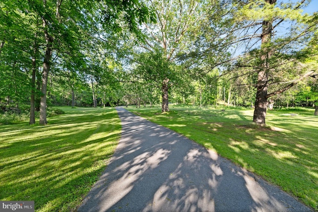 2436 Warm Springs Rd, Shenandoah Junction, WV 25442 - surrounding community with a yard