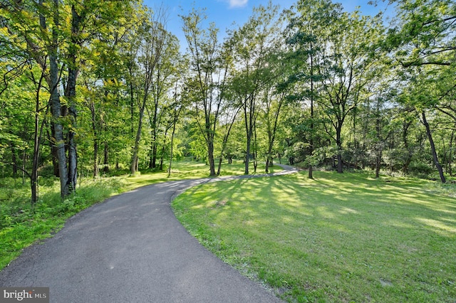 2436 Warm Springs Rd, Shenandoah Junction, WV 25442 - view of community with a yard