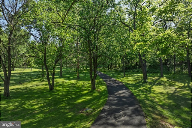 2436 Warm Springs Rd, Shenandoah Junction, WV 25442 - surrounding community with a yard