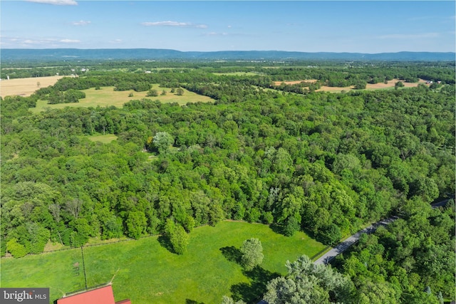 2436 Warm Springs Rd, Shenandoah Junction, WV 25442 - bird's eye view of a forest