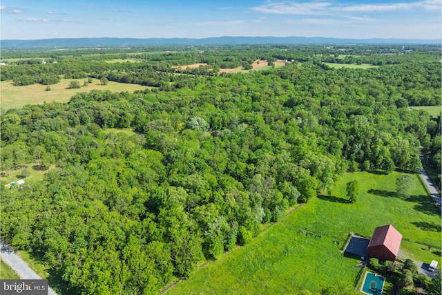 2436 Warm Springs Rd, Shenandoah Junction, WV 25442 - aerial view of a heavily wooded area