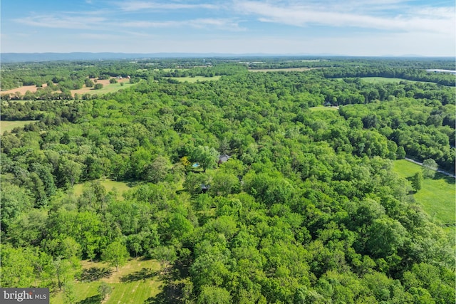 2436 Warm Springs Rd, Shenandoah Junction, WV 25442 - aerial view of a forest