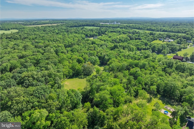 2436 Warm Springs Rd, Shenandoah Junction, WV 25442 - drone / aerial view of a forest