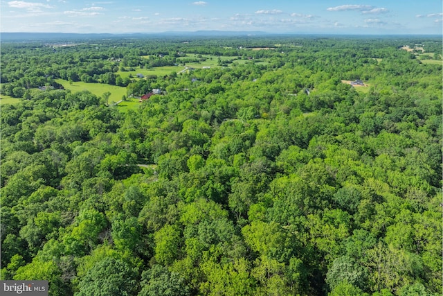 2436 Warm Springs Rd, Shenandoah Junction, WV 25442 - view of property location featuring a forest