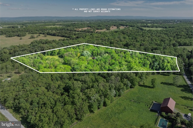 2436 Warm Springs Rd, Shenandoah Junction, WV 25442 - aerial view of property's location featuring a forest and property boundaries highlighted