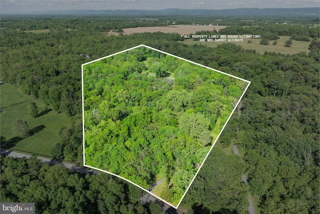 2436 Warm Springs Rd, Shenandoah Junction, WV 25442 - aerial view of property and surrounding area featuring a forest and property boundaries highlighted