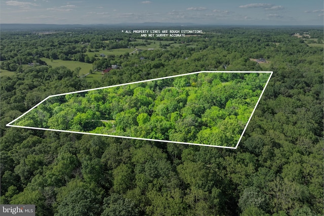2436 Warm Springs Rd, Shenandoah Junction, WV 25442 - aerial view of property and surrounding area with a heavily wooded area and property boundaries highlighted