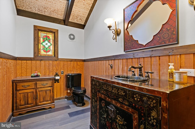 2436 Warm Springs Rd, Shenandoah Junction, WV 25442 - half bath featuring wood finished floors, a wainscoted wall, toilet, and vanity