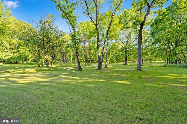 2436 Warm Springs Rd, Shenandoah Junction, WV 25442 - view of green lawn featuring view of wooded area
