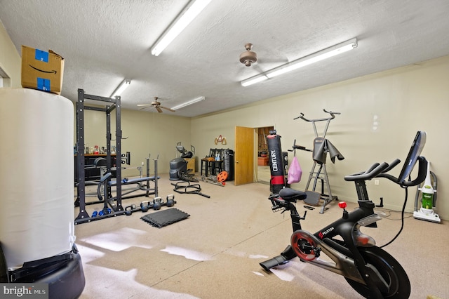 2436 Warm Springs Rd, Shenandoah Junction, WV 25442 - exercise area with a textured ceiling